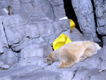 Central Park Zoo